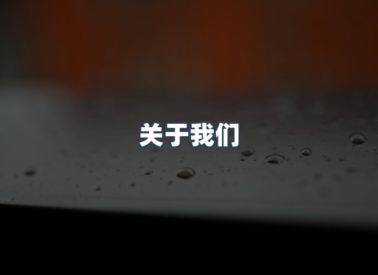 关于我们